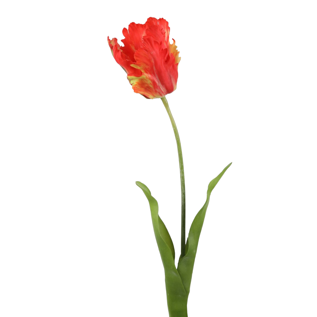 Viv! Home Luxuries Tulp Papegaai - zijden bloem - oranje - 69cm