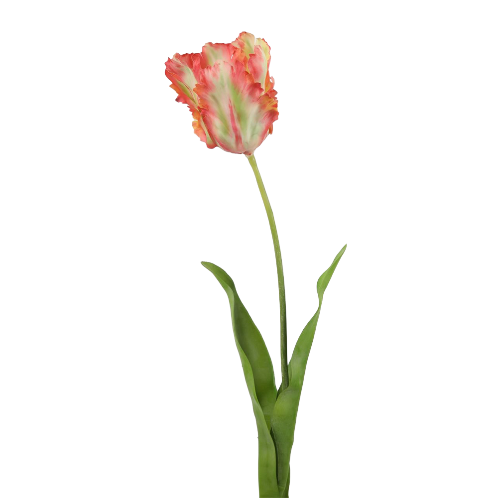 Viv! Home Luxuries Tulp Papegaai - zijden bloem - koraal groen - 69cm