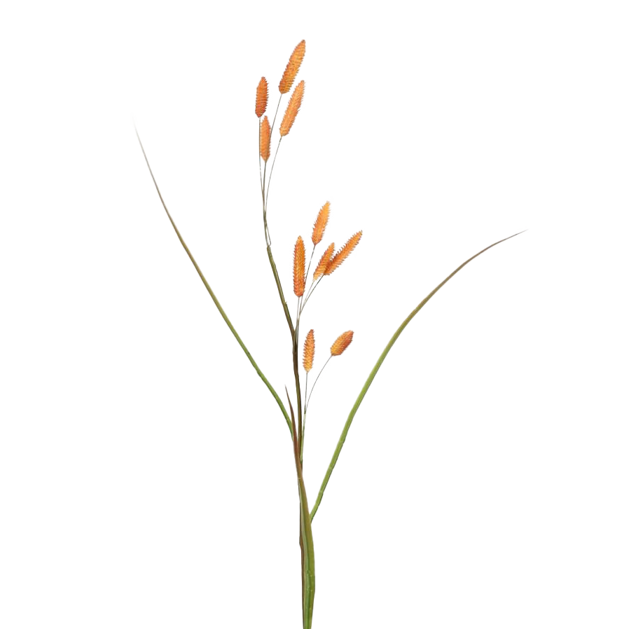 Viv! Home Luxuries Bunny Tails - gras - zijden bloem - oranje - hazenstaartje - 114cm