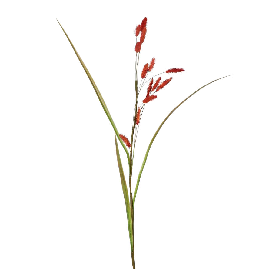 Viv! Home Luxuries Bunny Tails - gras - zijden bloem - rood - hazenstaartje - 114cm