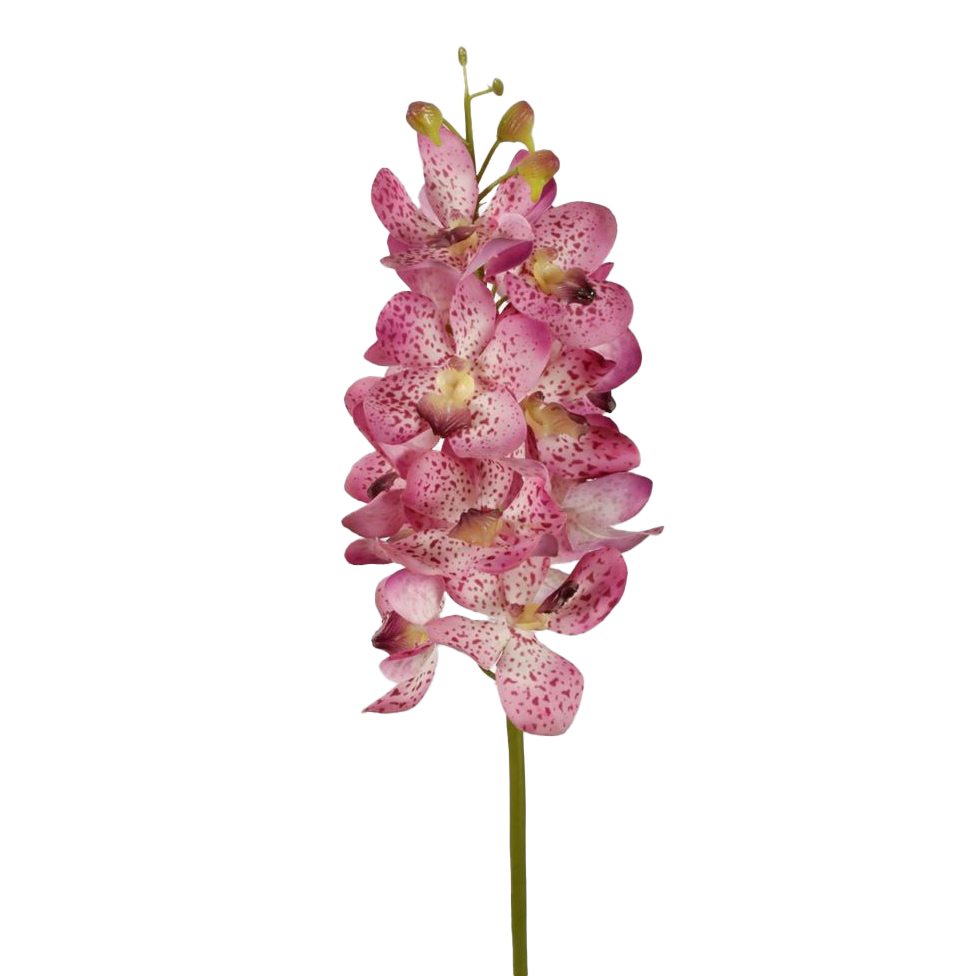 Viv! Home Luxuries Orchidee Vanda - zijden bloem - natural touch - paars - 69cm