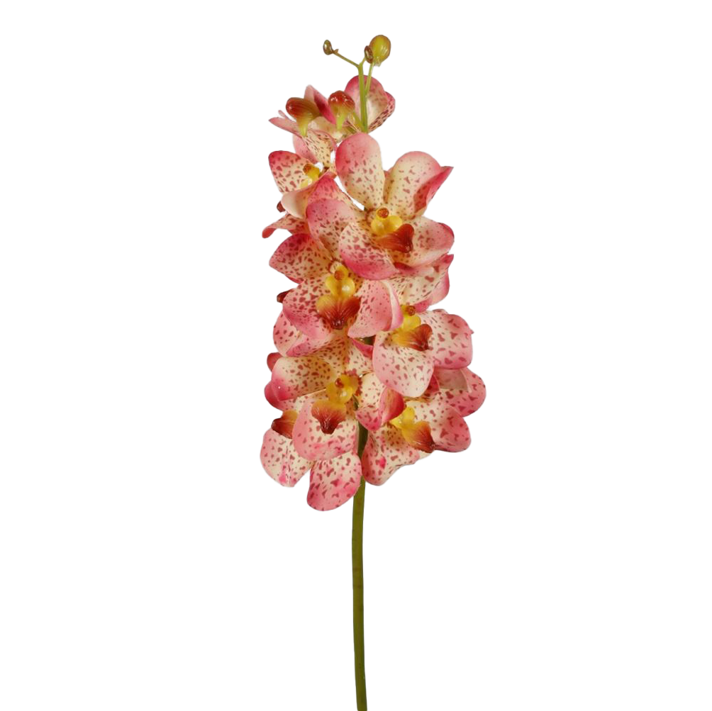 Viv! Home Luxuries Orchidee Vanda - zijden bloem - natural touch - roze - 69cm
