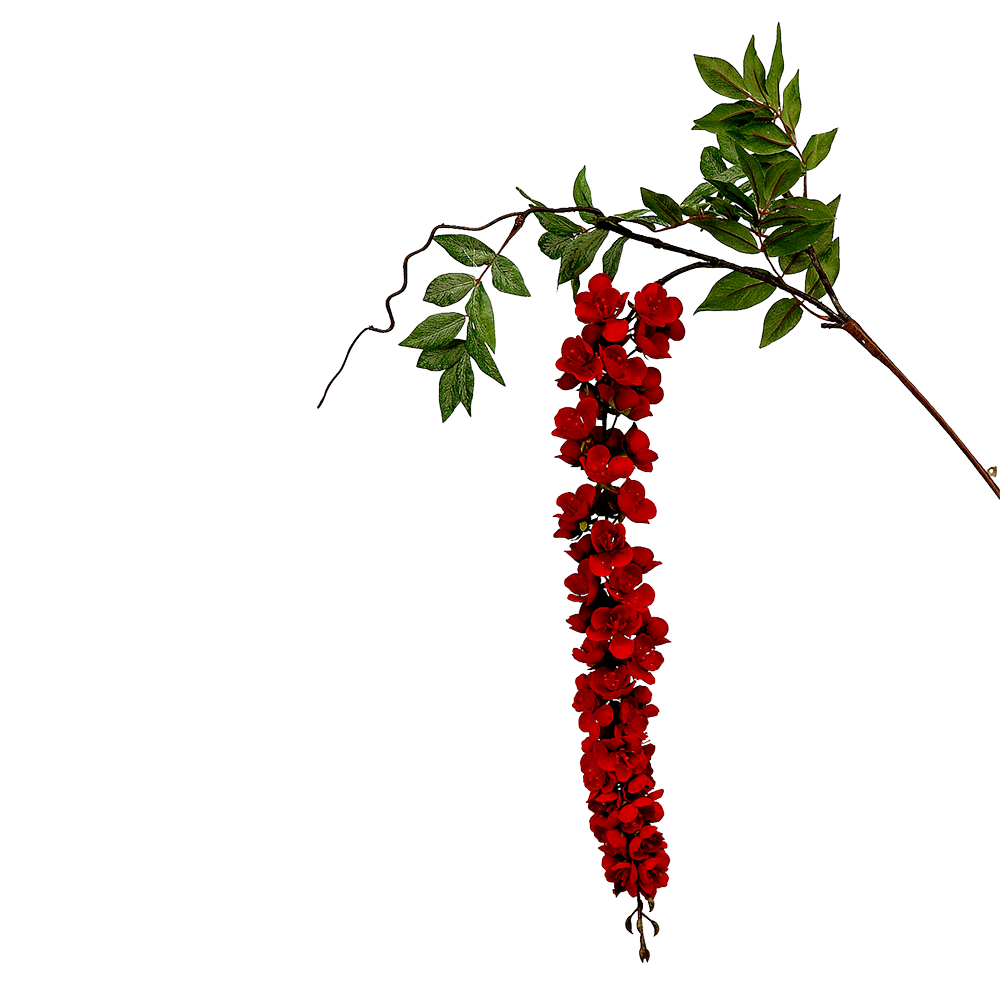 Viv! Home Luxuries Wisteria - zijden bloem - rood - 72cm