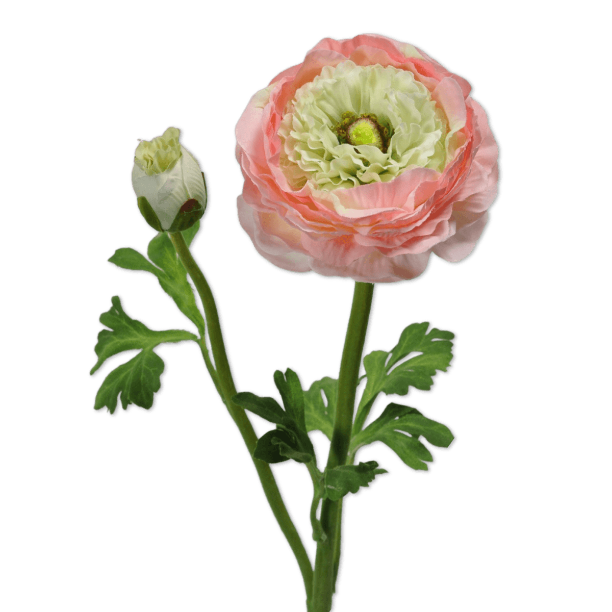 Viv! Home Luxuries Ranonkel - zijden bloem - roze groen - topkwaliteit - Viv! Home Luxuries