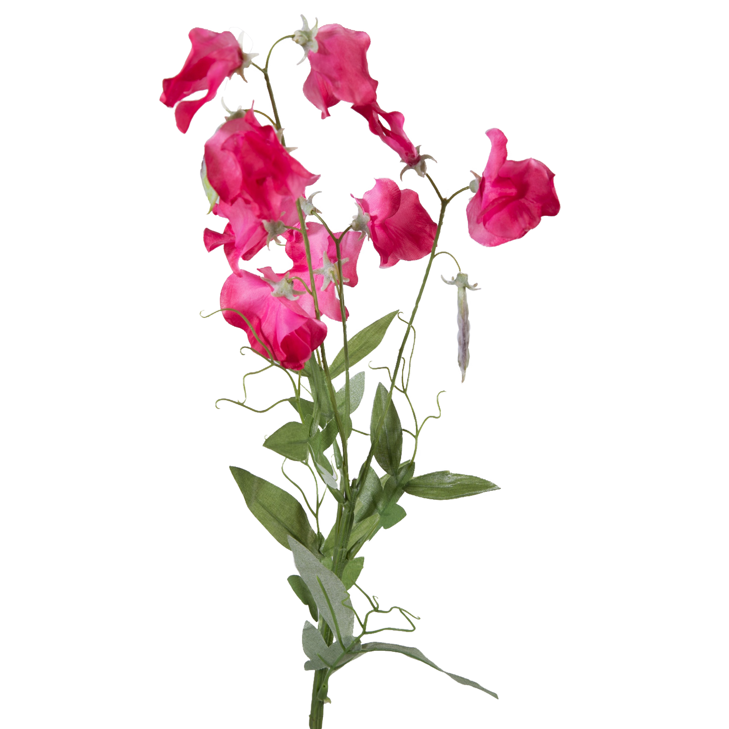 Viv! Home Luxuries Lathyrus - zijden bloem - fuchsia roze - 70cm
