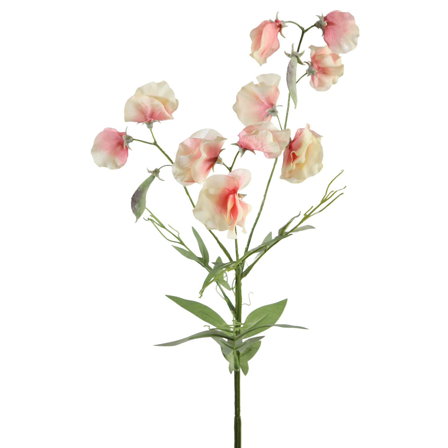 Viv! Home Luxuries Lathyrus - silk flower - peach - top quality