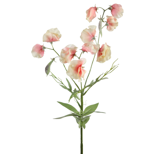 Viv! Home Luxuries Lathyrus - silk flower - peach - top quality