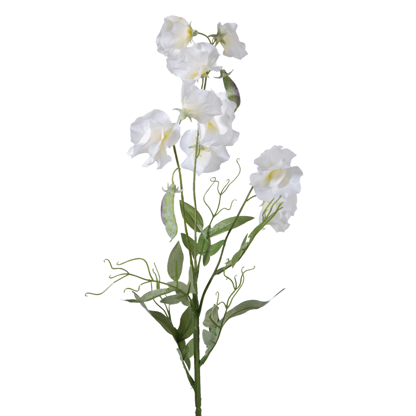 Viv! Home Luxuries Lathyrus - zijden bloem - wit - 70cm