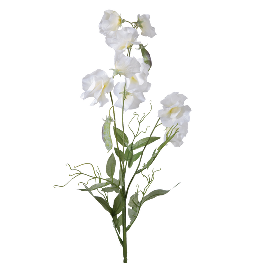 Viv! Home Luxuries Lathyrus - zijden bloem - wit - 70cm