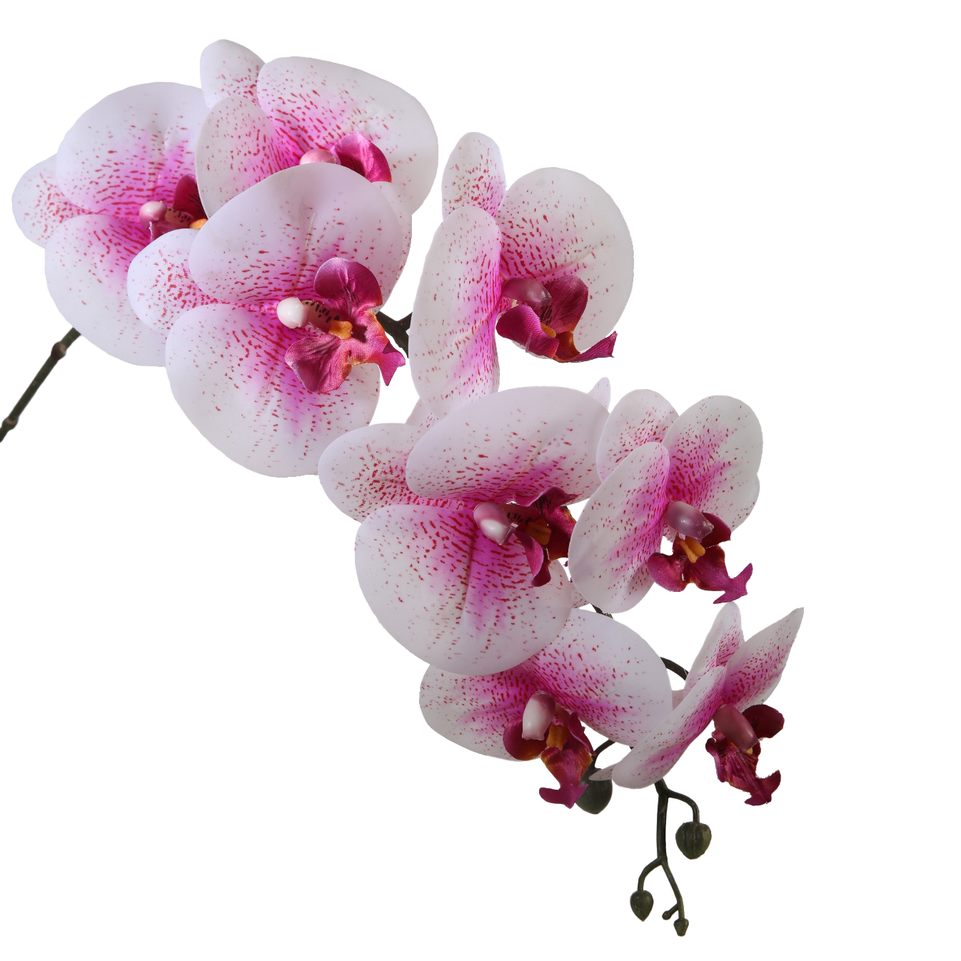 Viv! Home Luxuries Orchid Phalaenopsis - silk flower - pink white - 86cm - top quality