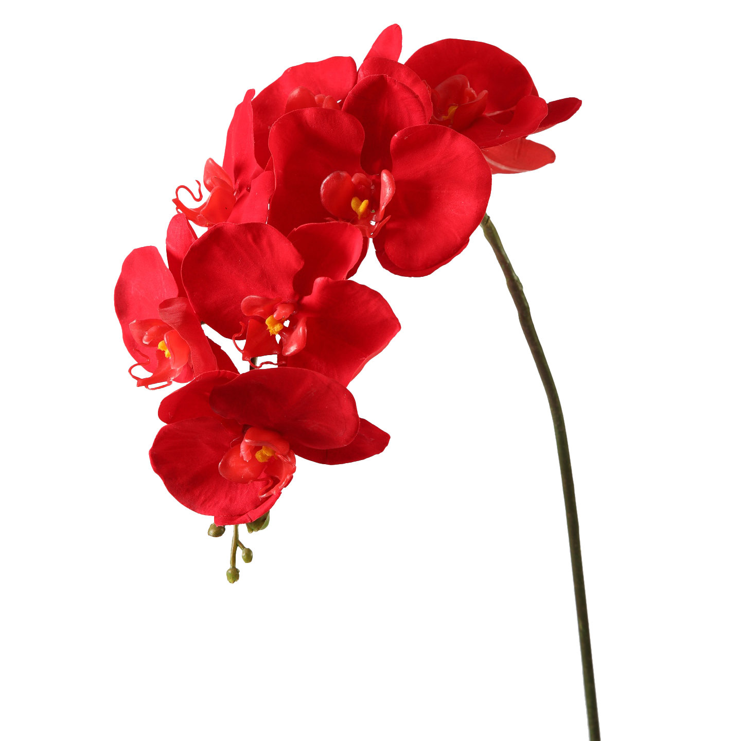 Viv! Home Luxuries Orchidee Butterfly - zijden bloem - rood - 86cm