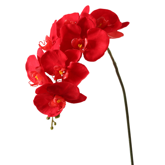 Viv! Home Luxuries Orchidee Butterfly - zijden bloem - rood - 86cm