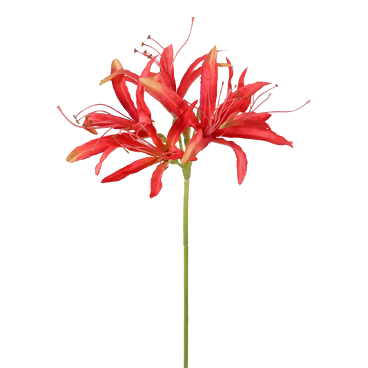 Viv! Home Luxuries Nerine - kunstbloem - koraal oranje - 81cm