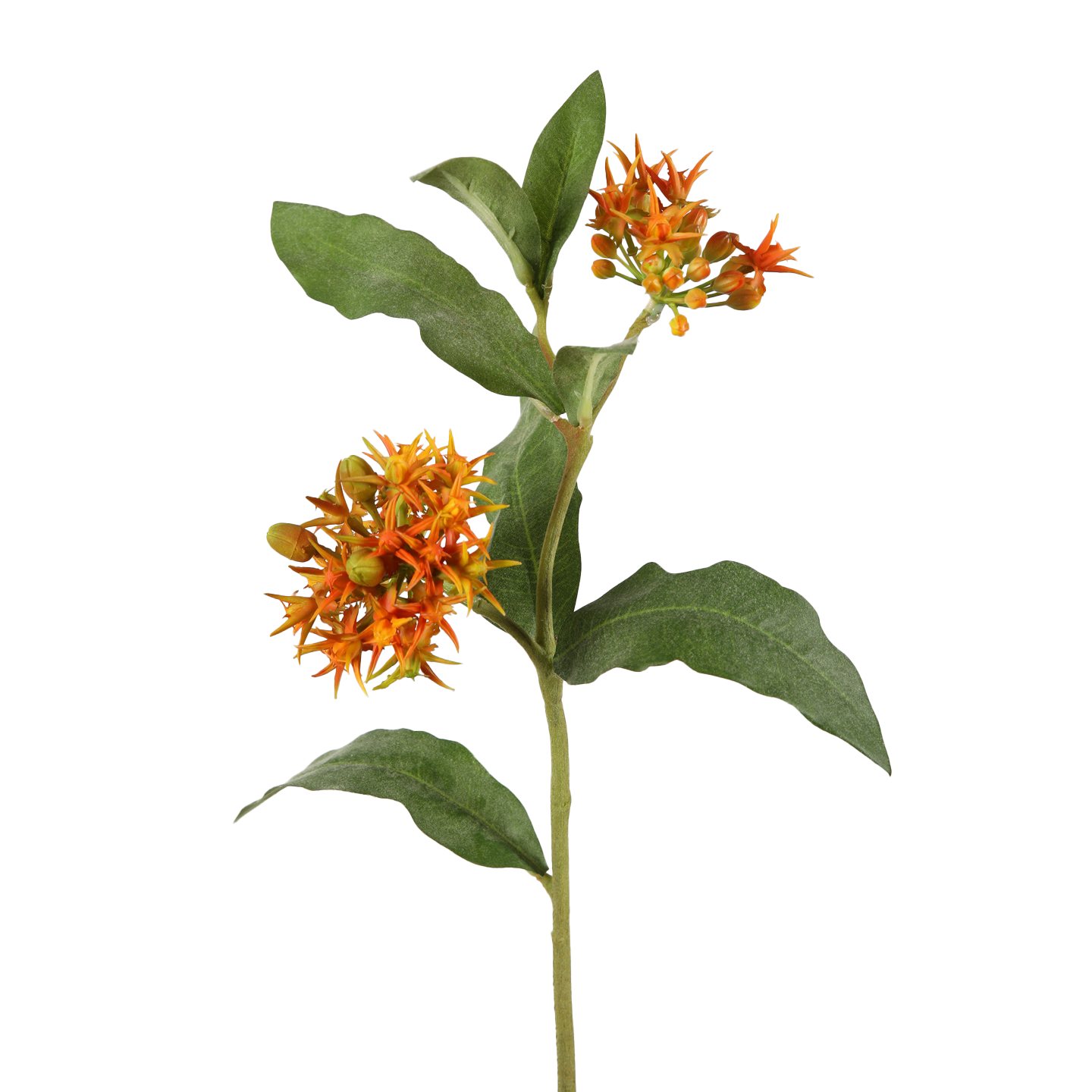 Viv! Home Luxuries Asclepias - Zijdeplant - zijden bloem - oranje - 58cm