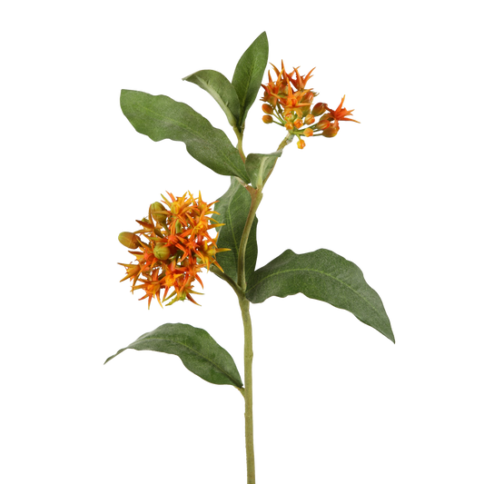 Viv! Home Luxuries Asclepias - Zijdeplant - zijden bloem - oranje - 58cm