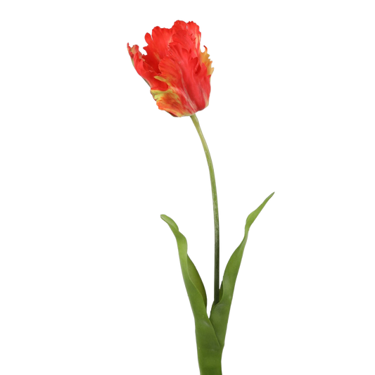 Viv! Home Luxuries Tulp Papegaai - zijden bloem - oranje - 69cm