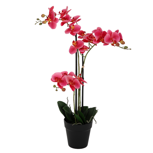 Viv! Home Luxuries Orchidee in pot - zijden bloem - roze - 64cm