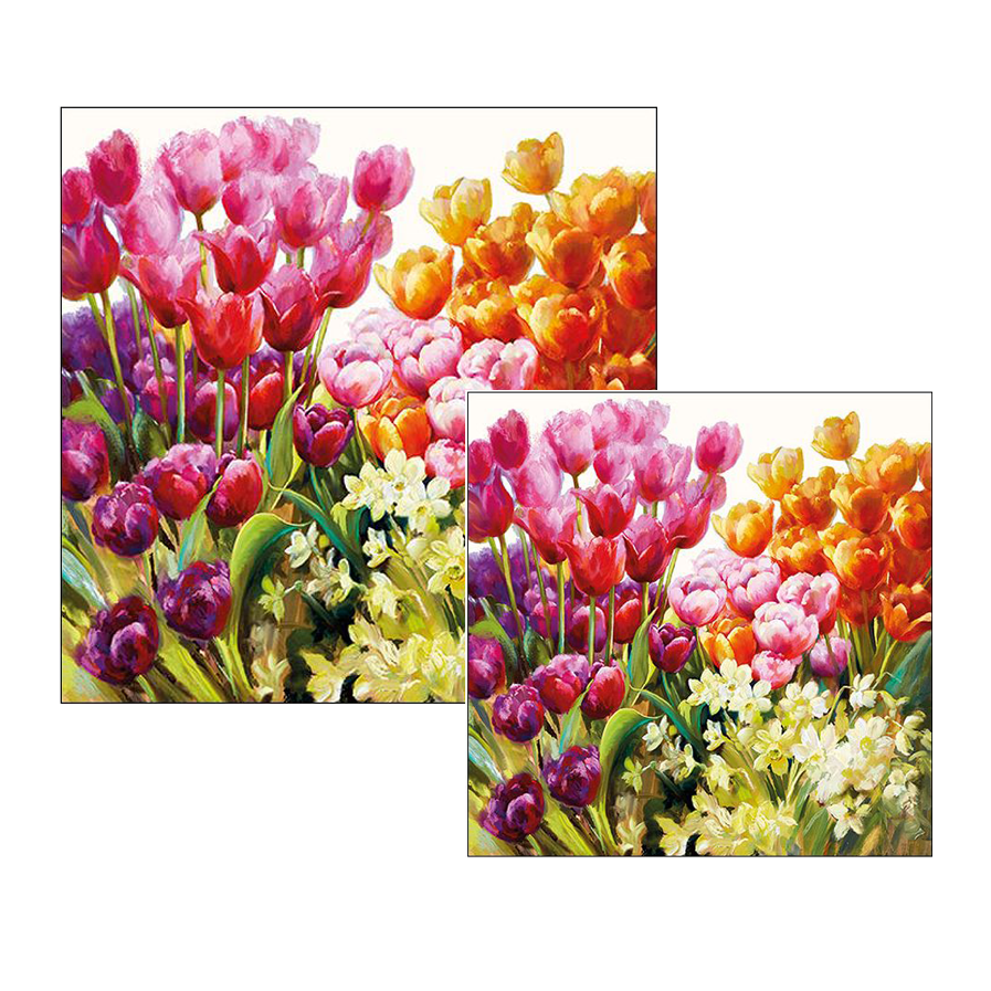 Ambiente servetten - Tulpen - 2 pakjes 33x33cm en 25x25cm - roze rood oranje - zomer bloemen