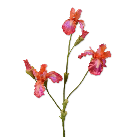 Viv! Home Luxuries Iris - Silk Flower - Orange Pink - 102cm - Top Quality