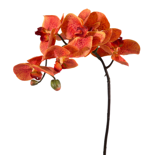 Viv! Home Luxuries Orchidee Phalaenopsis - zijden bloem - oranje - 70cm