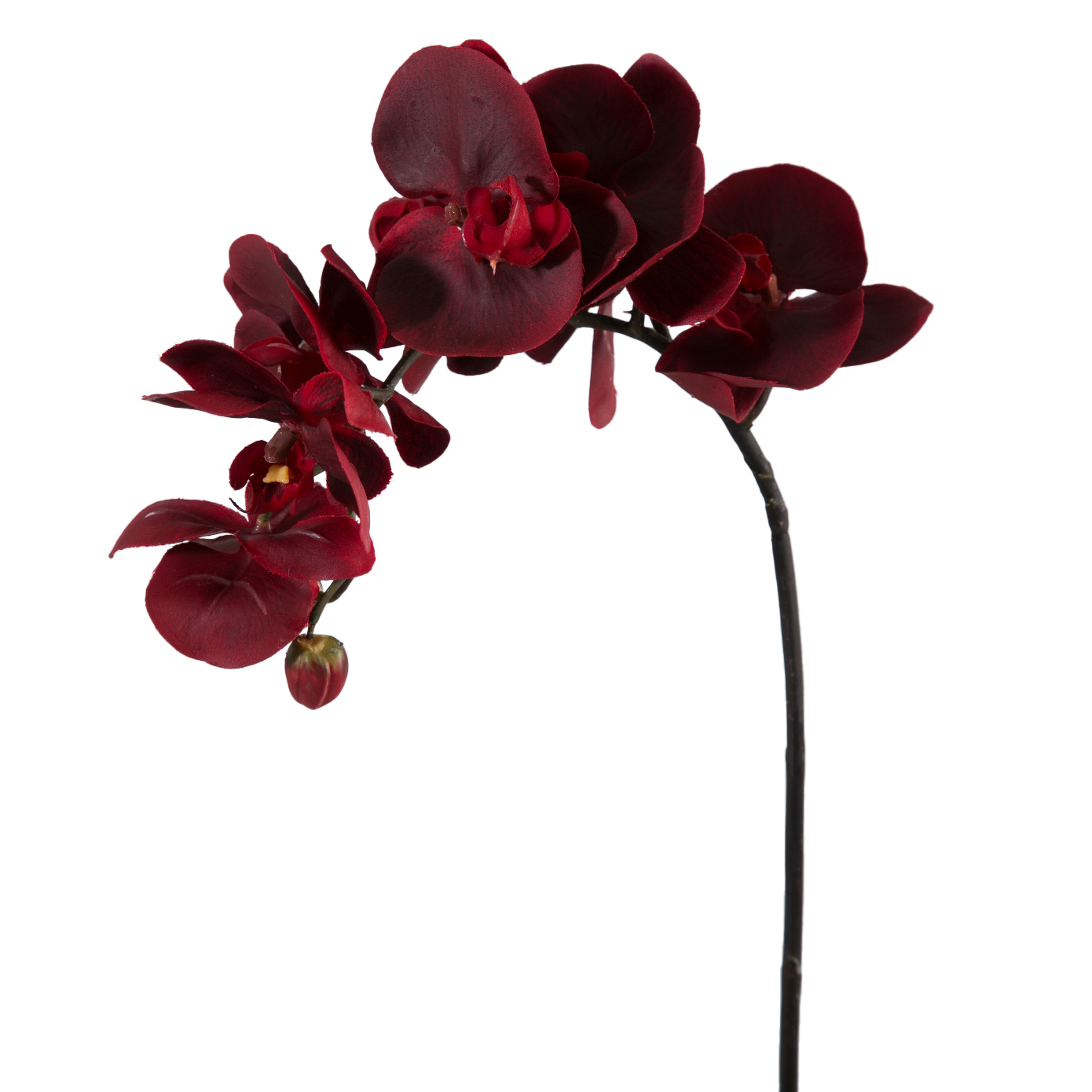 Viv! Home Luxuries Orchidee Phalaenopsis - zijden bloem - rood - 70cm