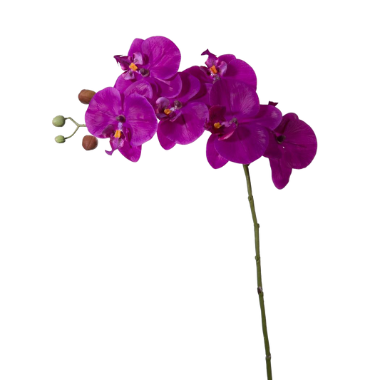 Viv! Home Luxuries Orchidee - zijden bloem - paars - 68cm