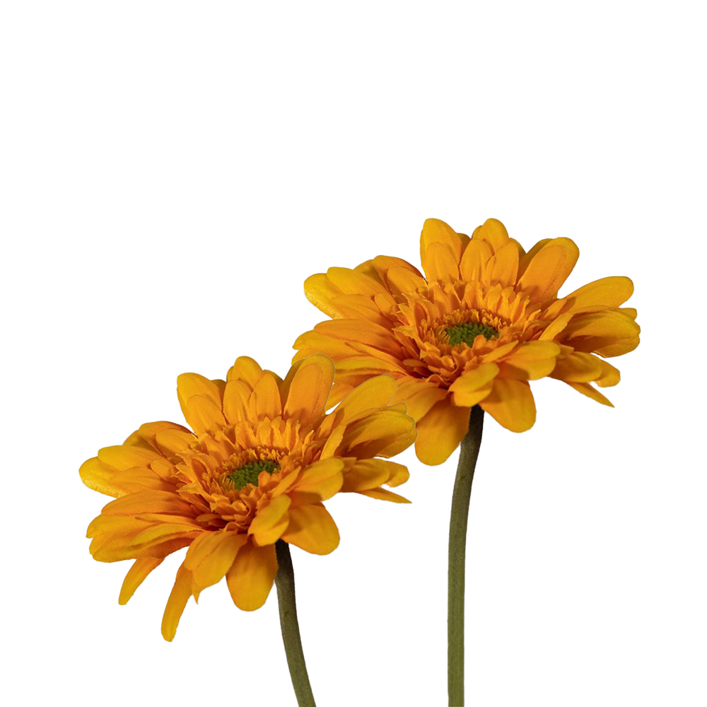 Viv! Home Luxuries Gerbera - 2 stuks - zijden bloem - licht oranje - 55cm
