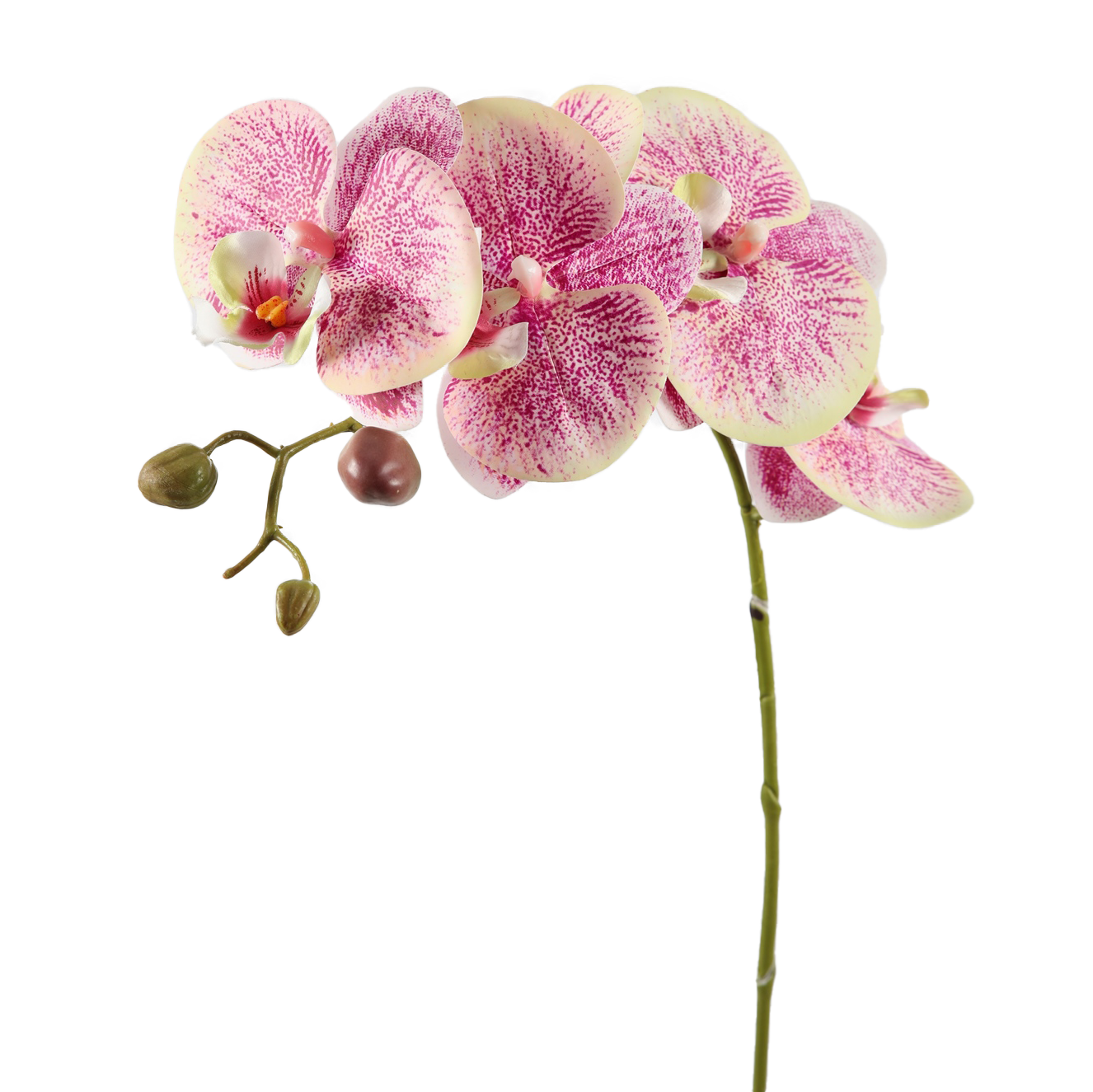 Viv! Home Luxuries Orchidee Butterfly - kunstbloem - paars groen - 79cm