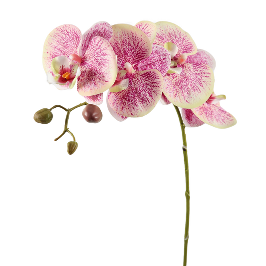 Viv! Home Luxuries Orchidee Butterfly - kunstbloem - paars groen - 79cm