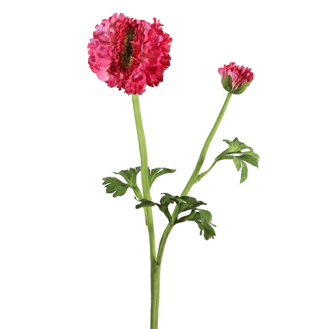 Viv! Home Luxuries Ranonkel - zijden bloem - fuchsia roze - 50cm