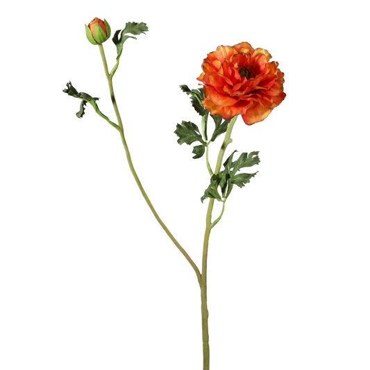 Viv! Home Luxuries Ranonkel - Silk Flower - Orange - 71cm - Top Quality