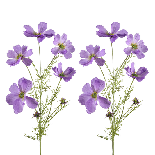 Viv! Home Luxuries Cosmos - Artificial flower - 77cm - Purple - 2 pieces - Top quality