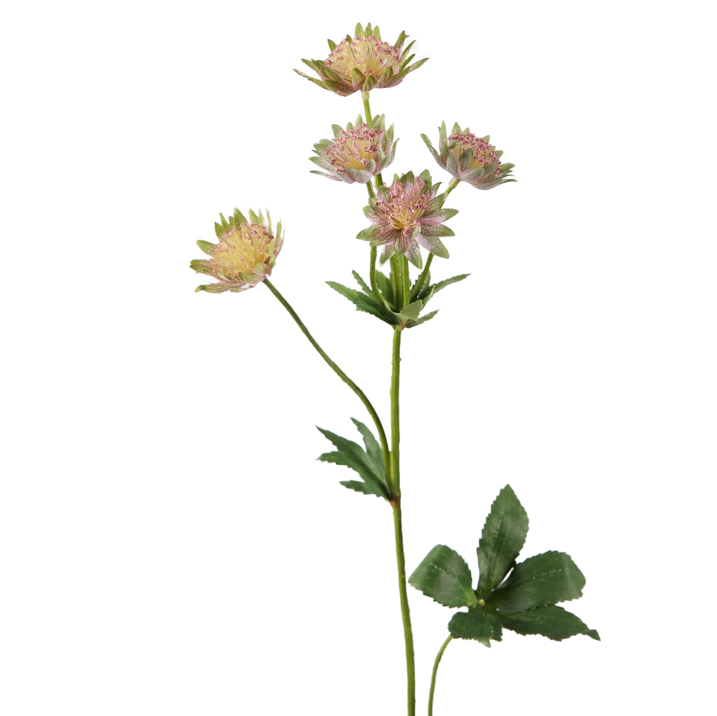 Viv! Home Luxuries Astrantia - Artificial flower - 64cm - Pink Green - Top Quality