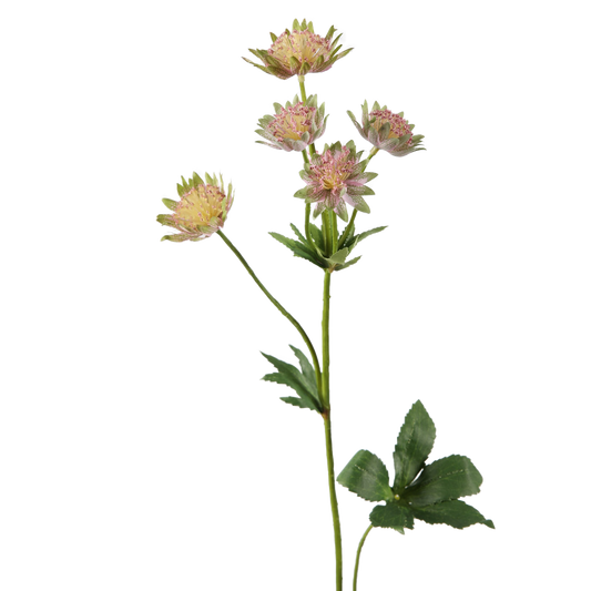 Viv! Home Luxuries Astrantia - Artificial flower - 64cm - Pink Green - Top Quality