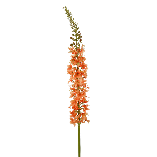 Viv! Home Luxuries Eremurus - Silk Flower - Peach - 100cm - Top Quality