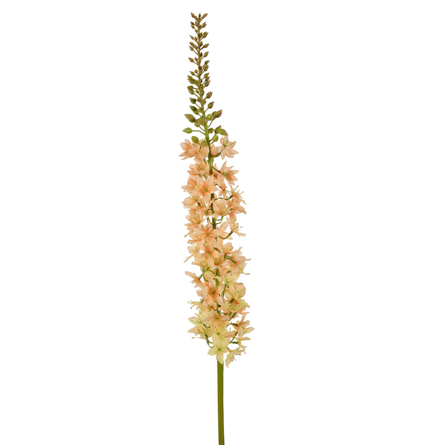 Viv! Home Luxuries Eremurus - Silk Flower - Peach - 100cm - Top Quality