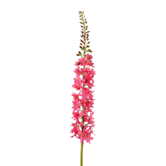 Viv! Home Luxuries Eremurus - zijden bloem - roze - 94cm