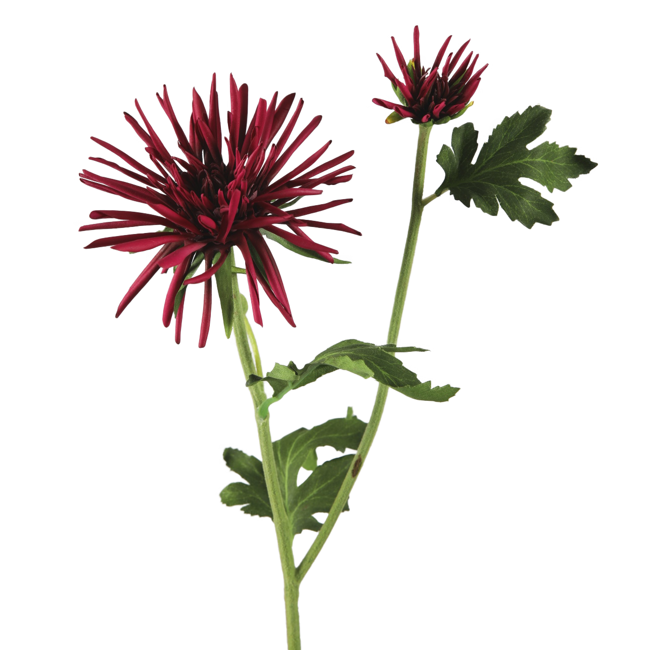 Viv! Home Luxuries Chrysant spinnekop - kunstbloem - rood - 60cm
