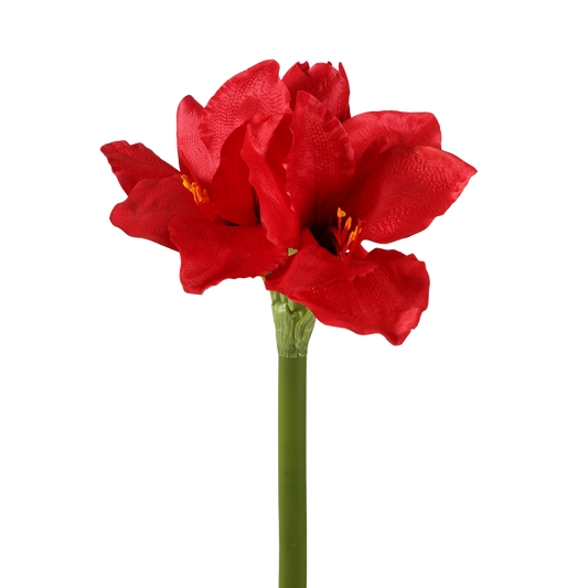 Viv! Home Luxuries Amaryllis - zijden bloem - rood - Kerst - 61cm