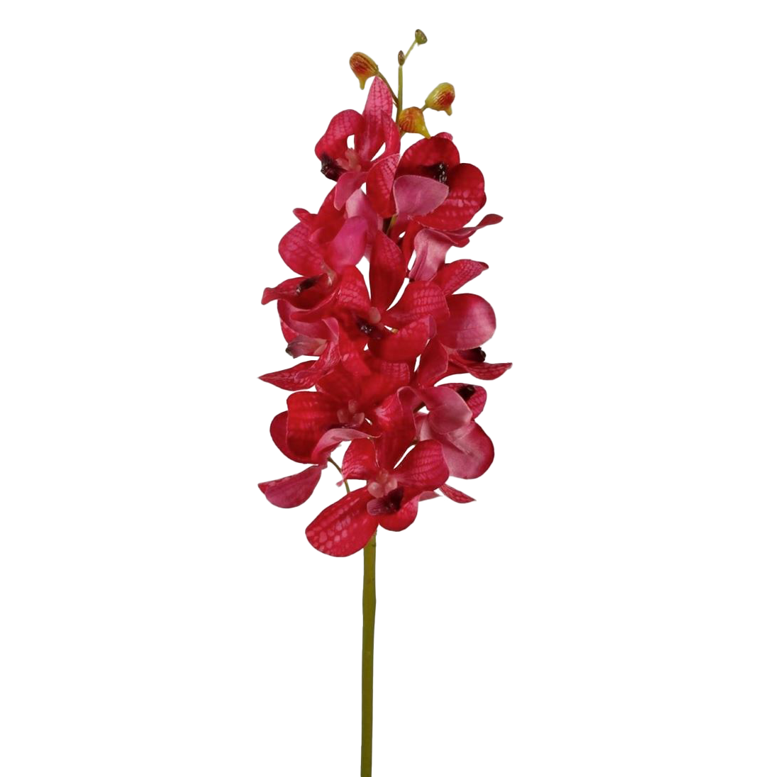 Viv! Home Luxuries Orchidee Vanda - zijden bloem - fuchsia - 69cm