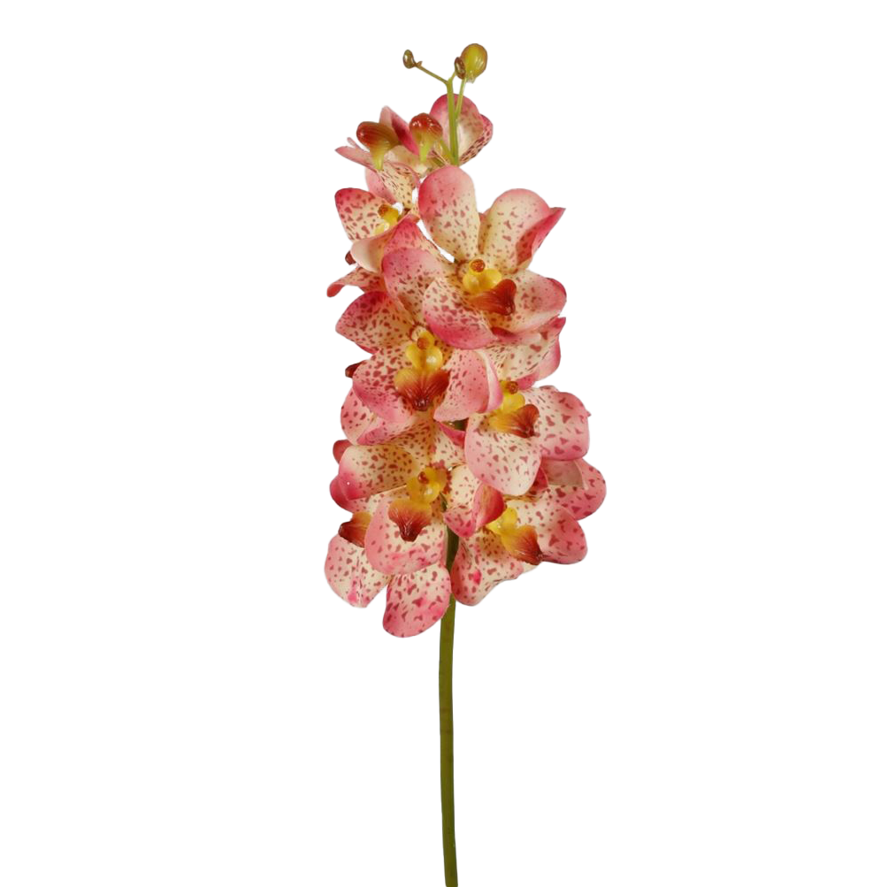 Viv! Home Luxuries Orchidee Vanda - zijden bloem - roze - 69cm