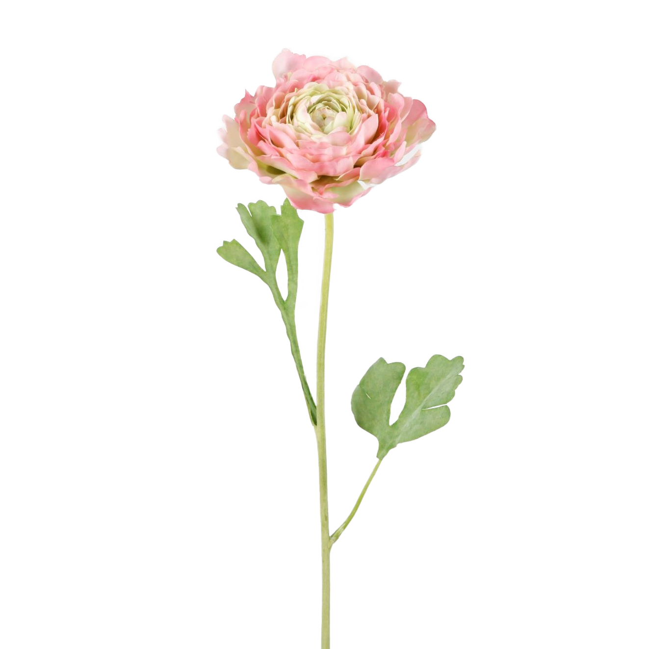 Viv! Home Luxuries Ranonkel - zijden bloem - groen roze - 56cm