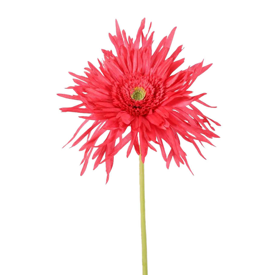 Viv! Home Luxuries Gerbera spinnekop - zijden bloem - fuchsia - 70cm