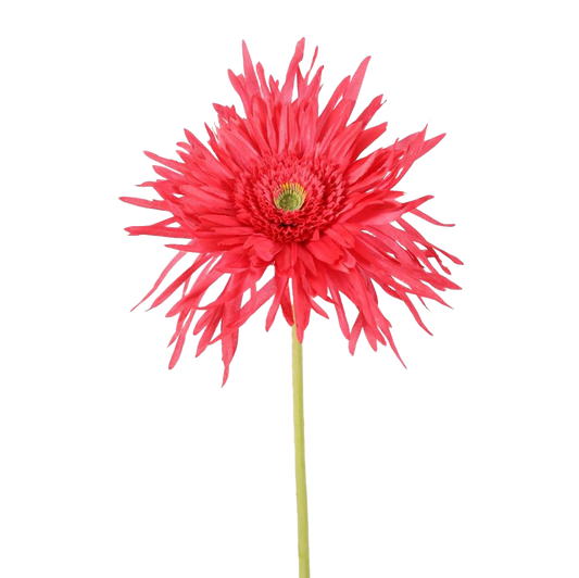 Viv! Home Luxuries Gerbera spinnekop - zijden bloem - fuchsia - 70cm