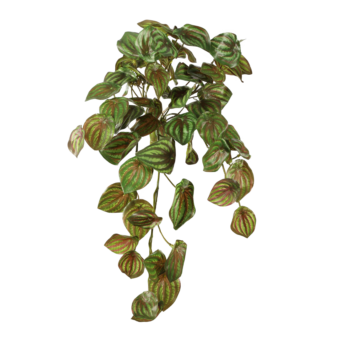 Viv! Home Luxuries Watermeloenblad (Peperomia) - hangende kunstplant - groen - 52cm