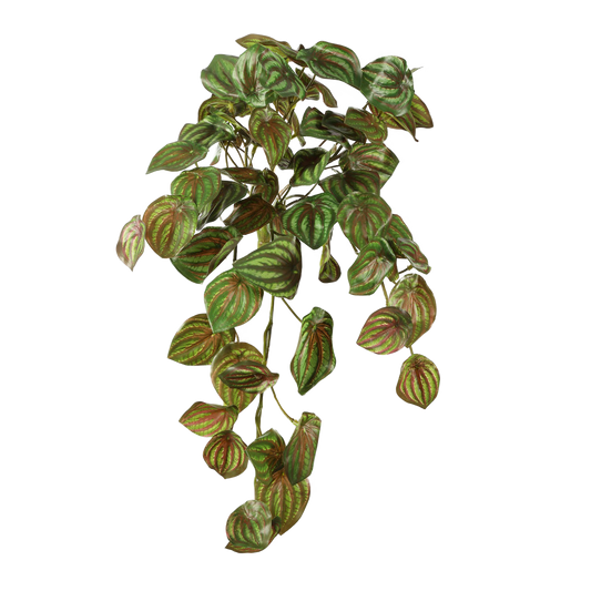 Viv! Home Luxuries Watermeloenblad (Peperomia) - hangende kunstplant - groen - 52cm