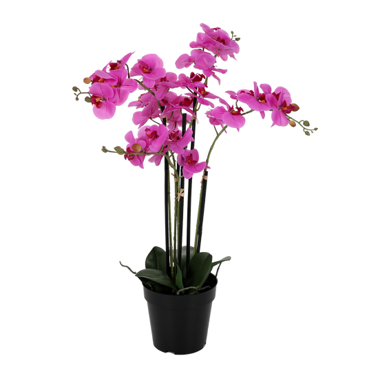 Viv! Home Luxuries Orchidee in pot - zijden bloem - paars - 65cm