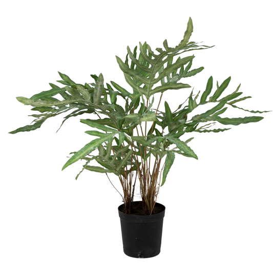Viv! Home Luxuries Blue fern (phlebodium) - Artificial plant - 80 cm - green - top quality