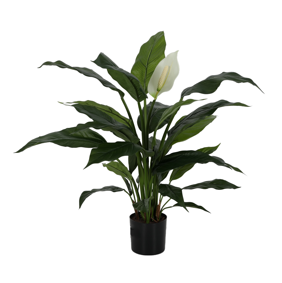 Viv! Home Luxuries Spathiphyllum - Artificial plant - 73cm - Green white - Top quality