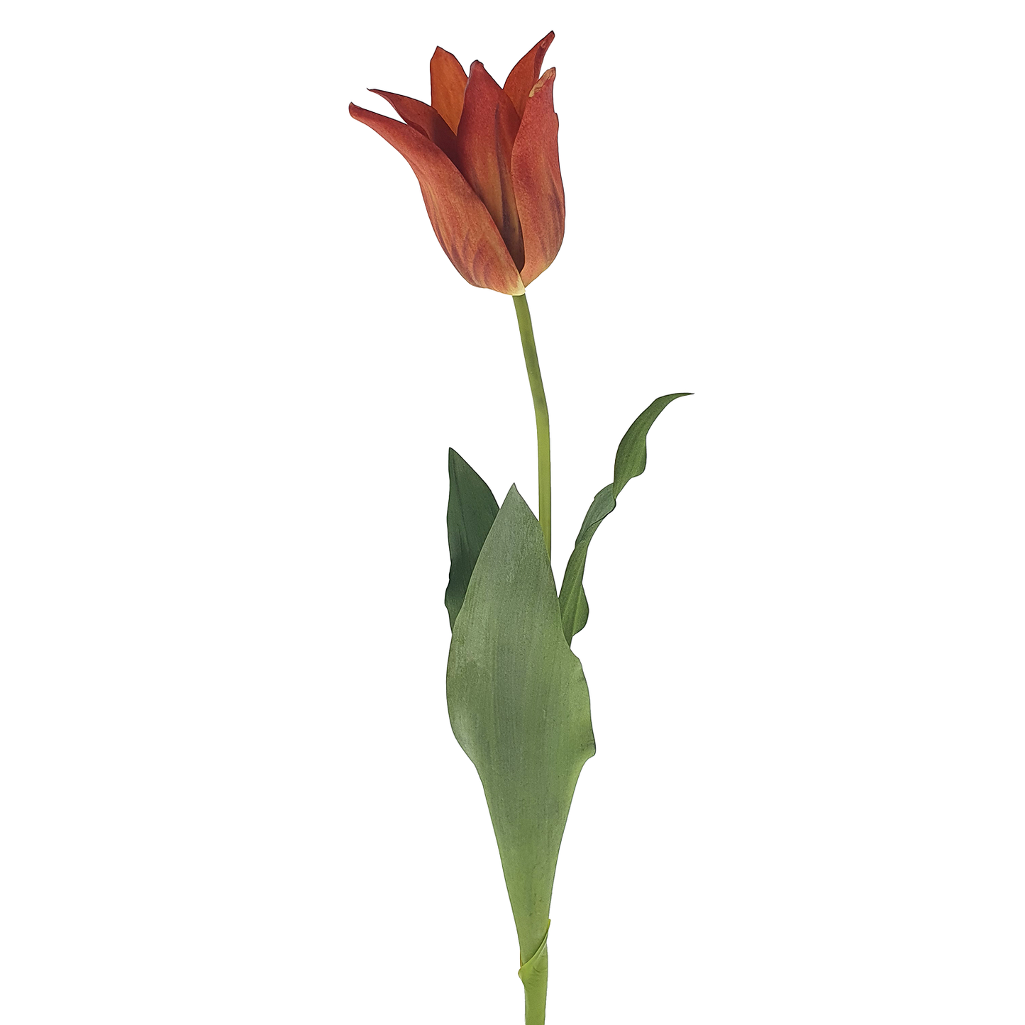Viv! Home Luxuries Tulip - silk flower - orange - top quality
